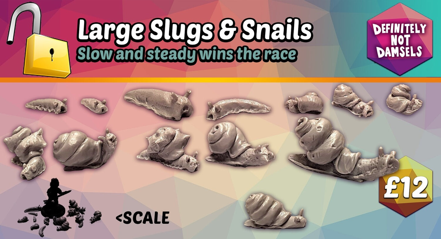 Large Slugs & Snails (13)