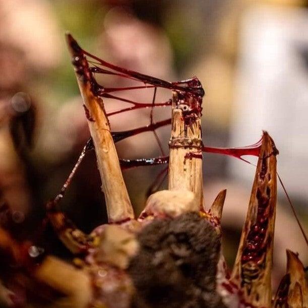 {{ product.title }} - {{ product.type }} from Roll The Dice Cornwall