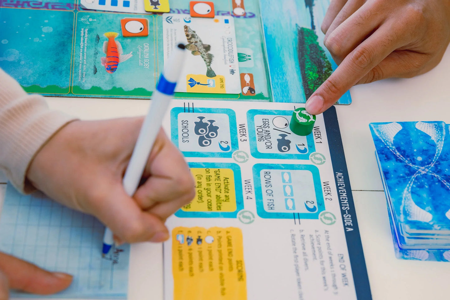 {{ product.title }} - {{ product.type }} from Roll The Dice Cornwall