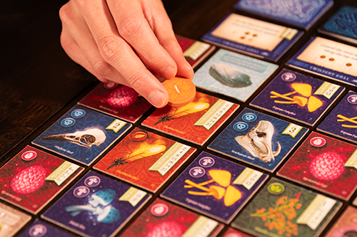 {{ product.title }} - {{ product.type }} from Roll The Dice Cornwall