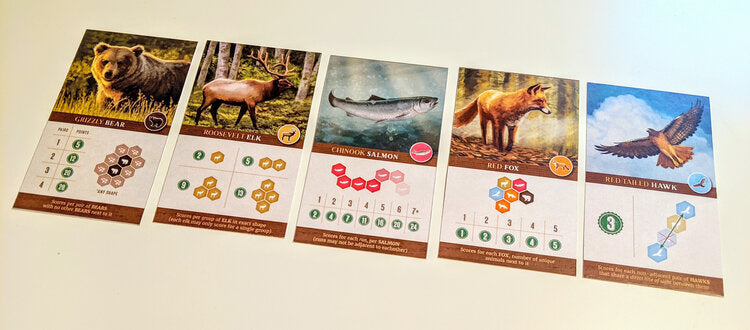 {{ product.title }} - {{ product.type }} from Roll The Dice Cornwall