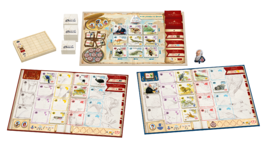 {{ product.title }} - {{ product.type }} from Roll The Dice Cornwall