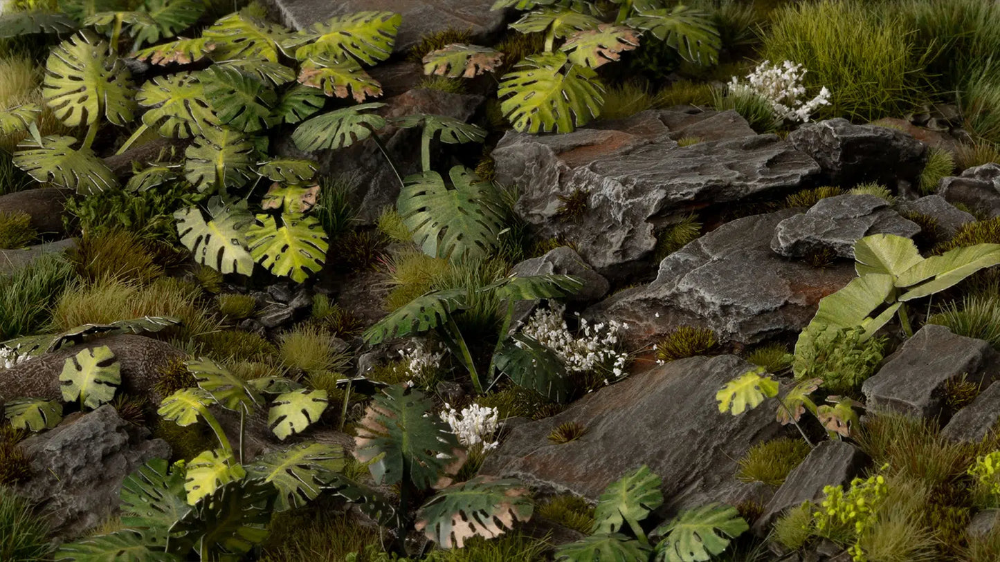 Laser Plants: Monstera