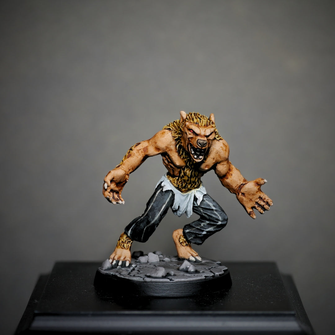 Painting Guide - Sandor the Werewolf