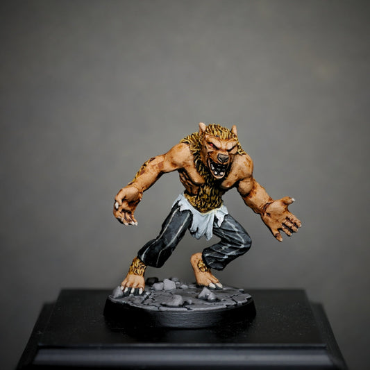 Painting Guide - Sandor the Werewolf