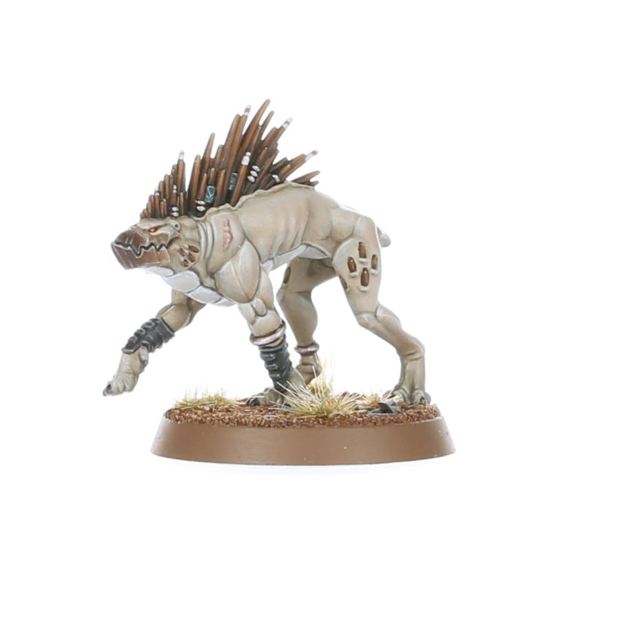 T'au: Kroot Hounds