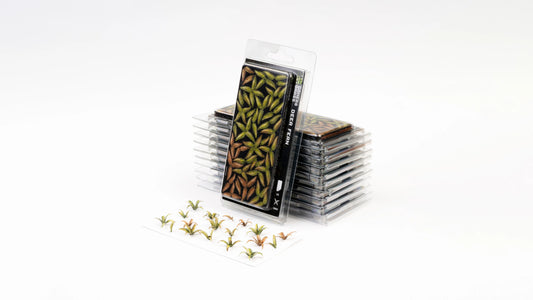 Laser Plants: Deer Fern