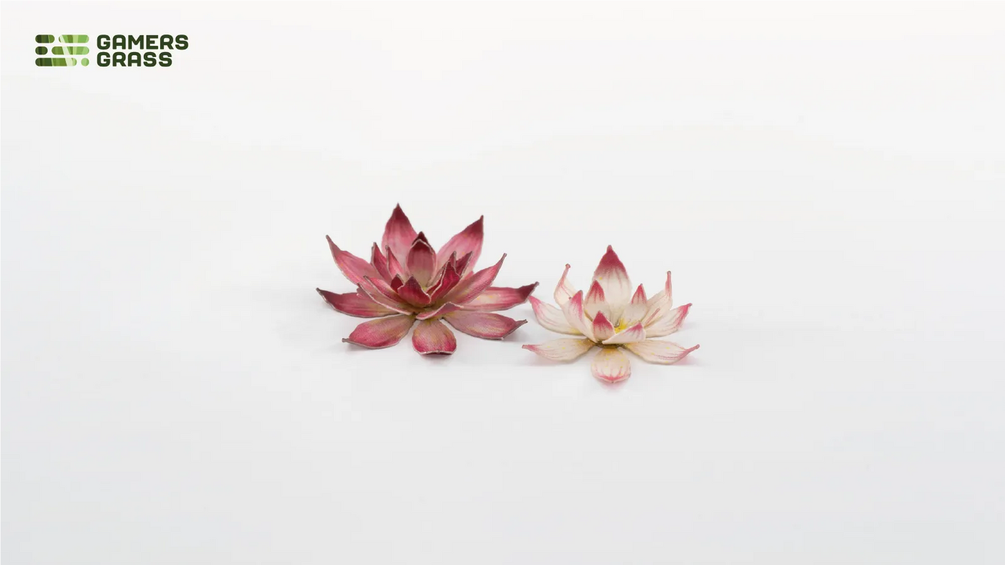 Laser Plants: Lotus Flower