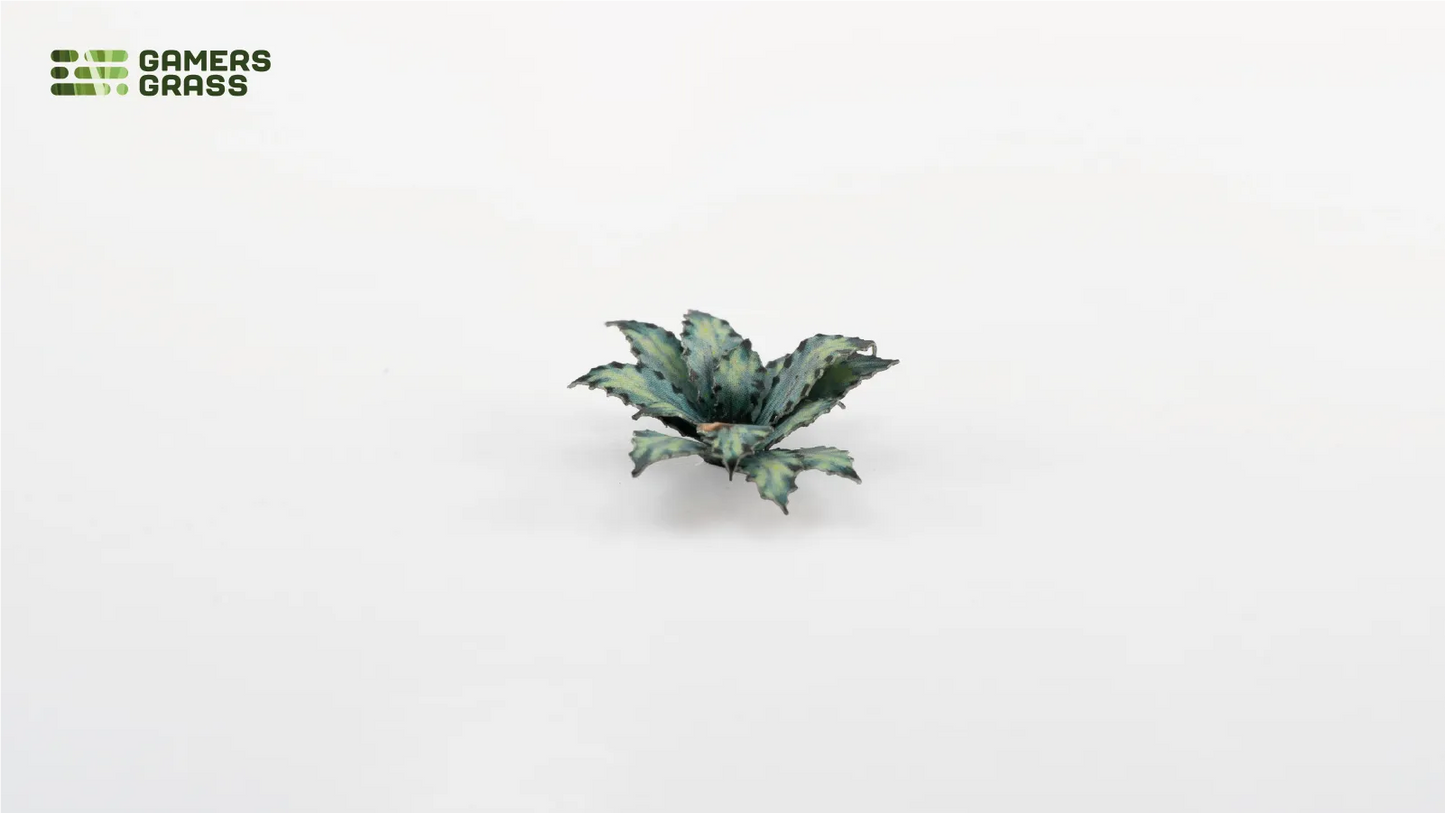 Laser Plants: Blue Agave