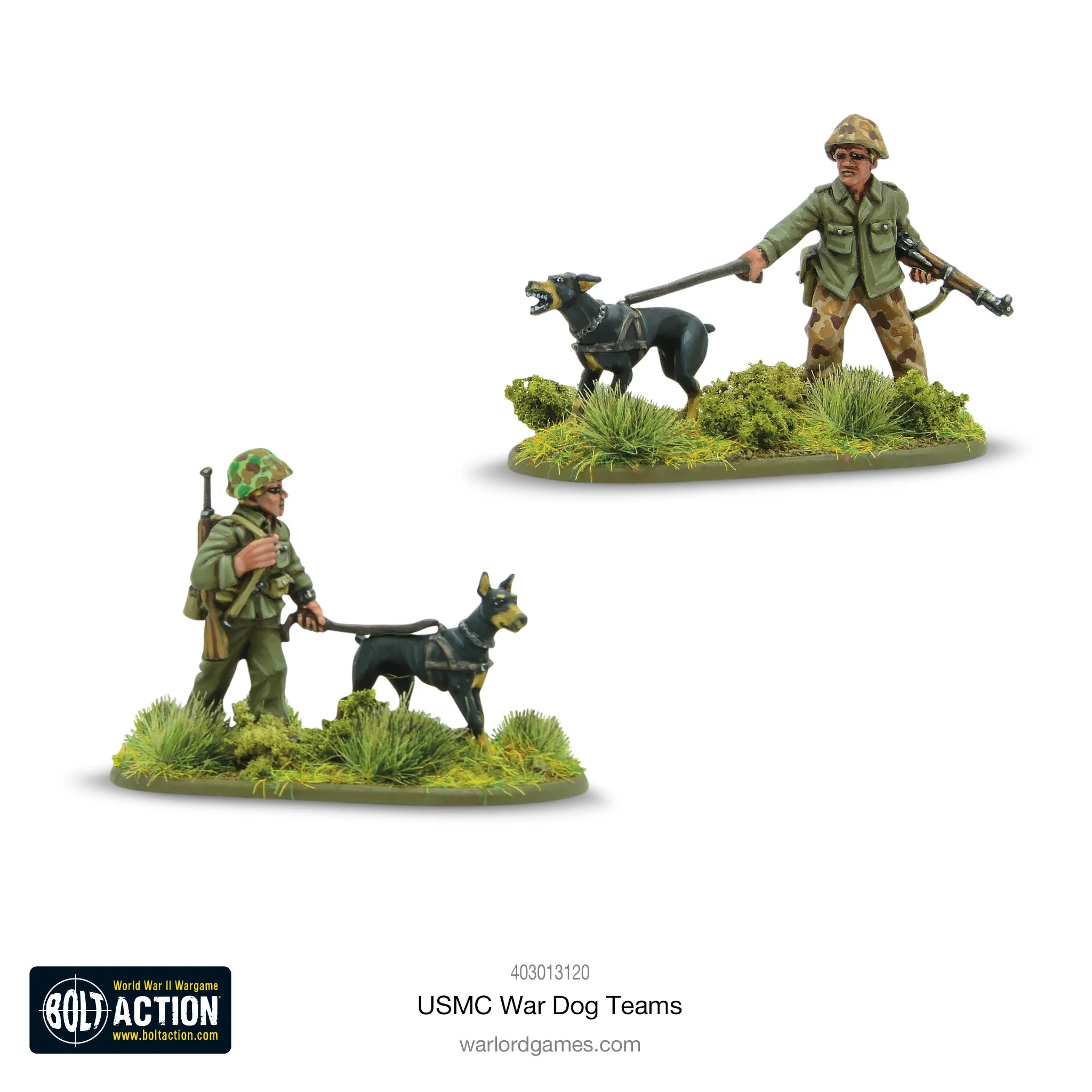 US Marine Corps War Dogs Teams