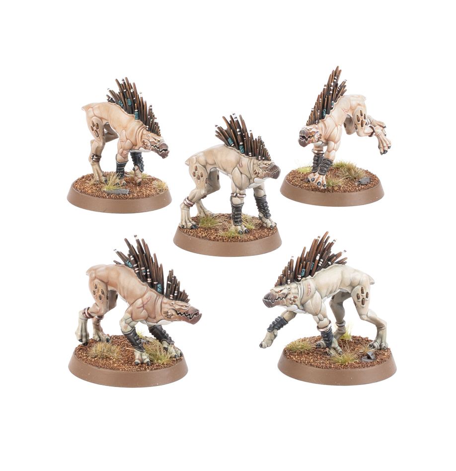 T'au: Kroot Hounds
