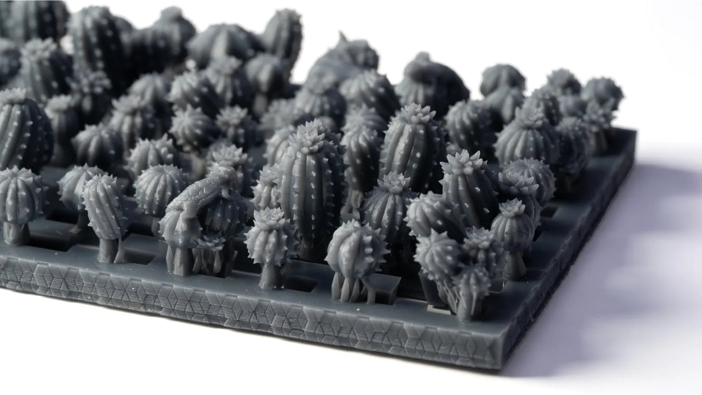 Basing Bits - Barrel Cacti