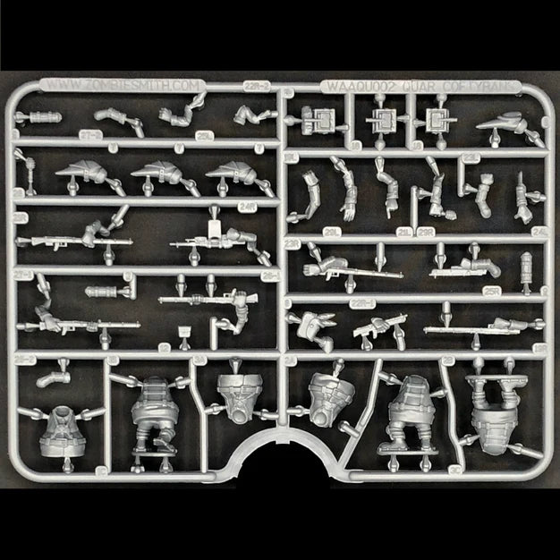 Quar Coftyran Infantry