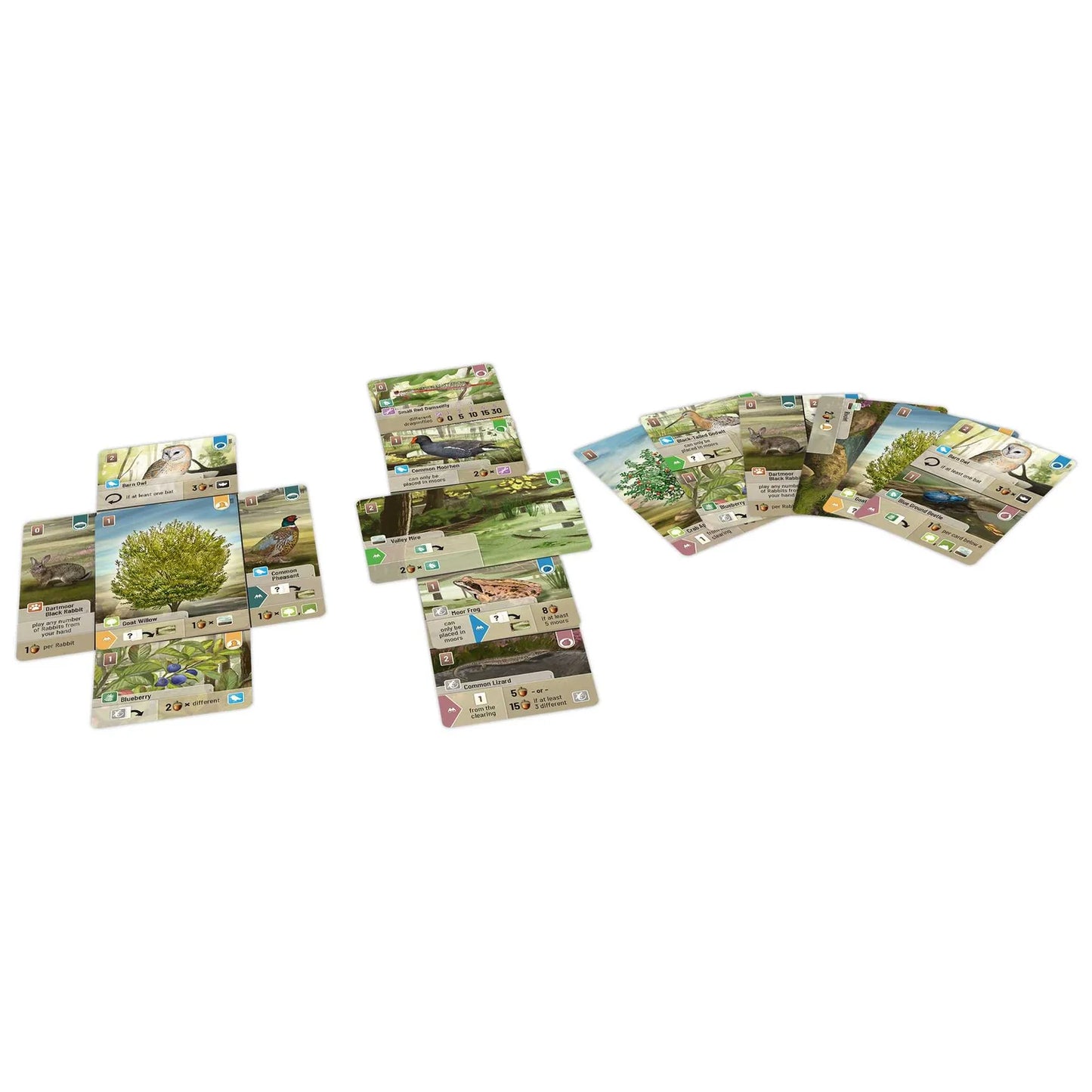 Forest Shuffle - Dartmoor