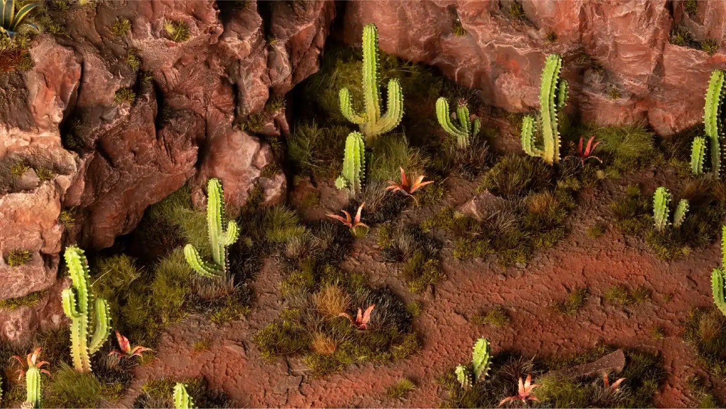 Basing Bits - Saguaro Cacti