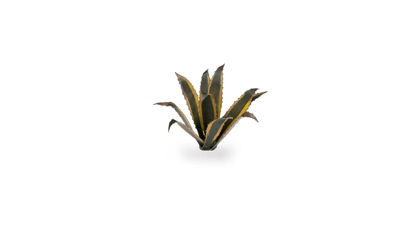 Laser Plants: Agave