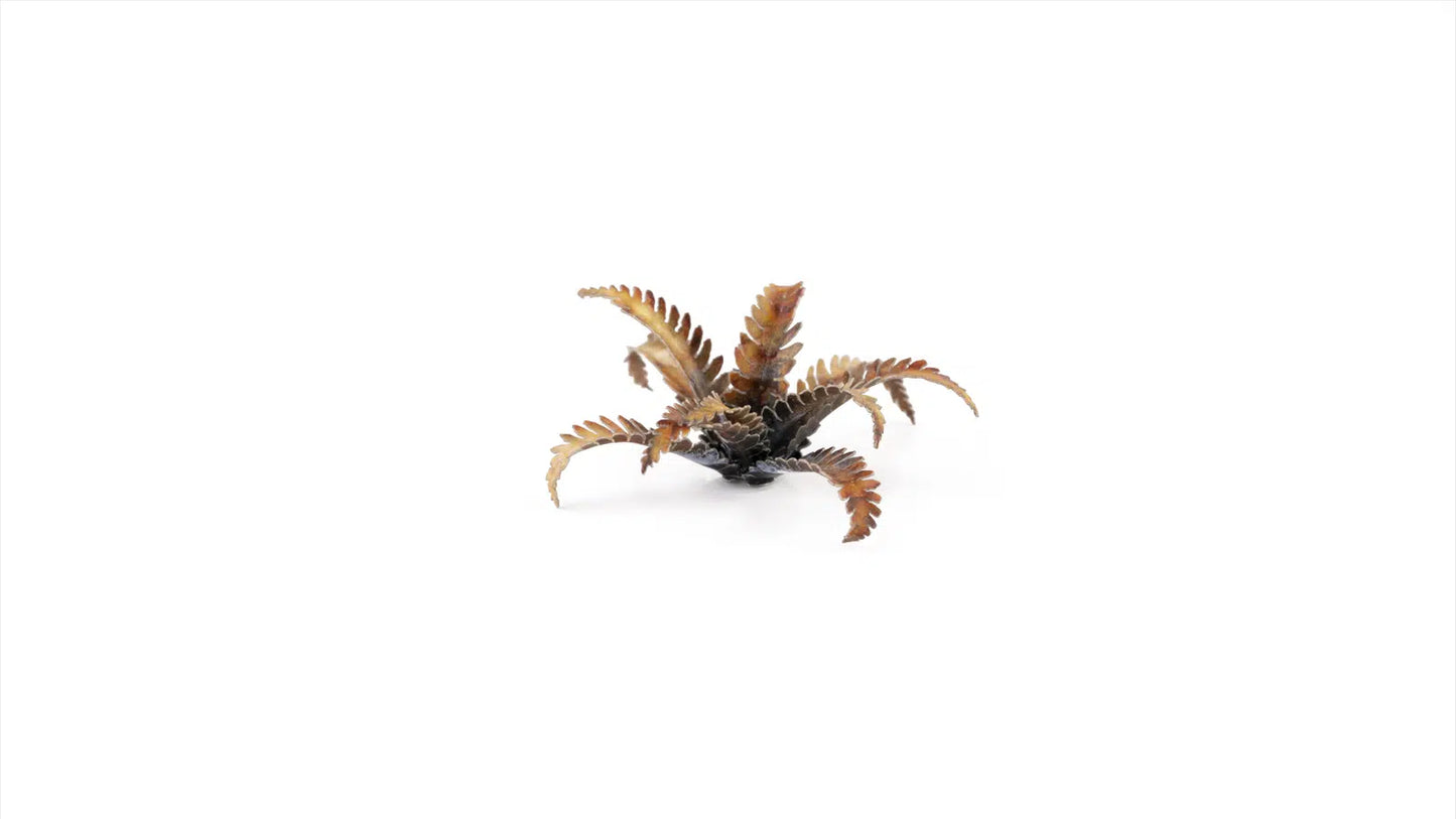 Laser Plants: Alien Fern