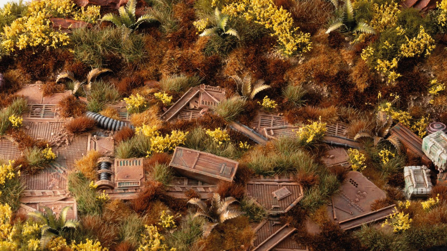 Grass Tufts: Broom Flowers