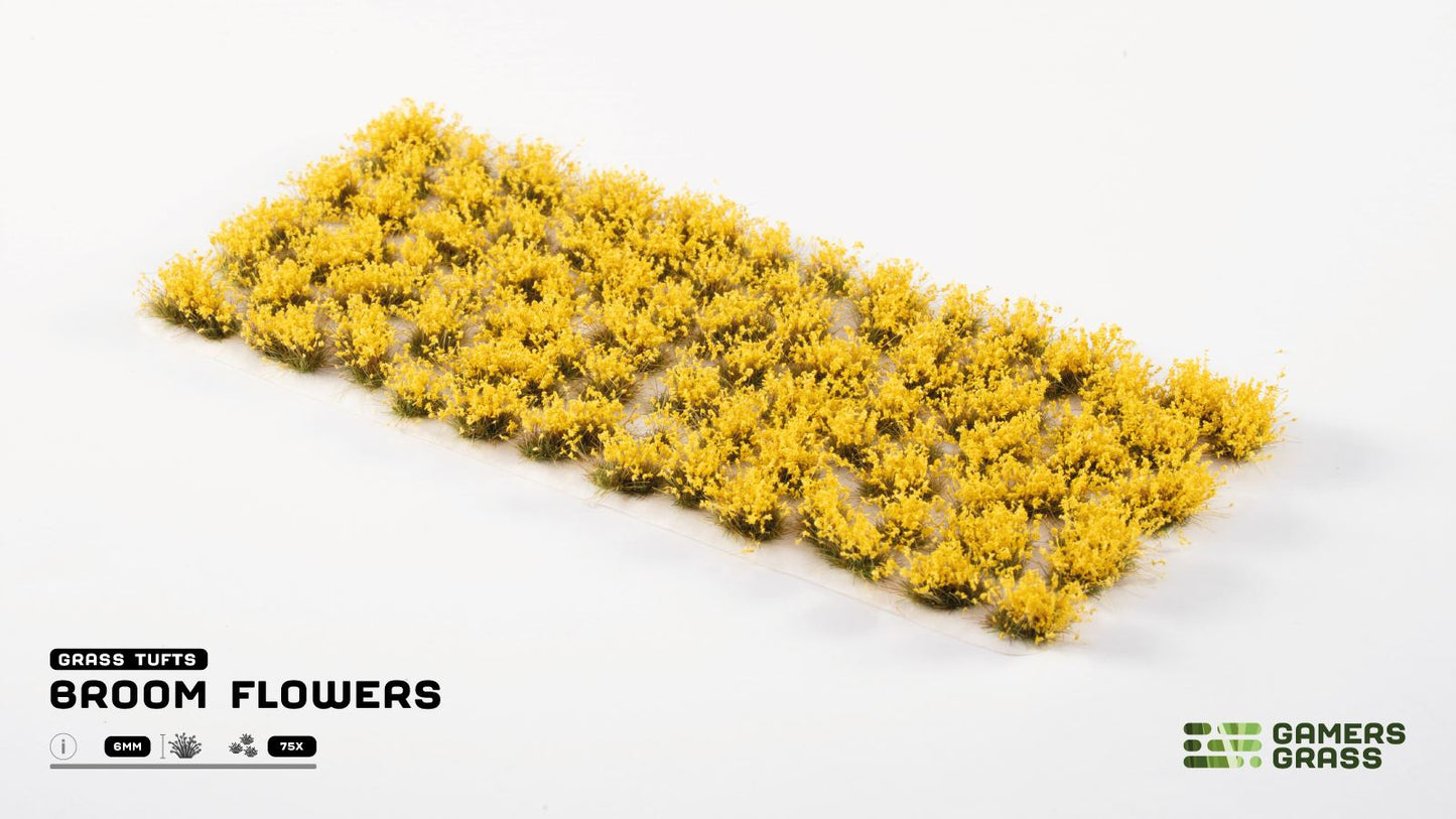 Grass Tufts: Broom Flowers