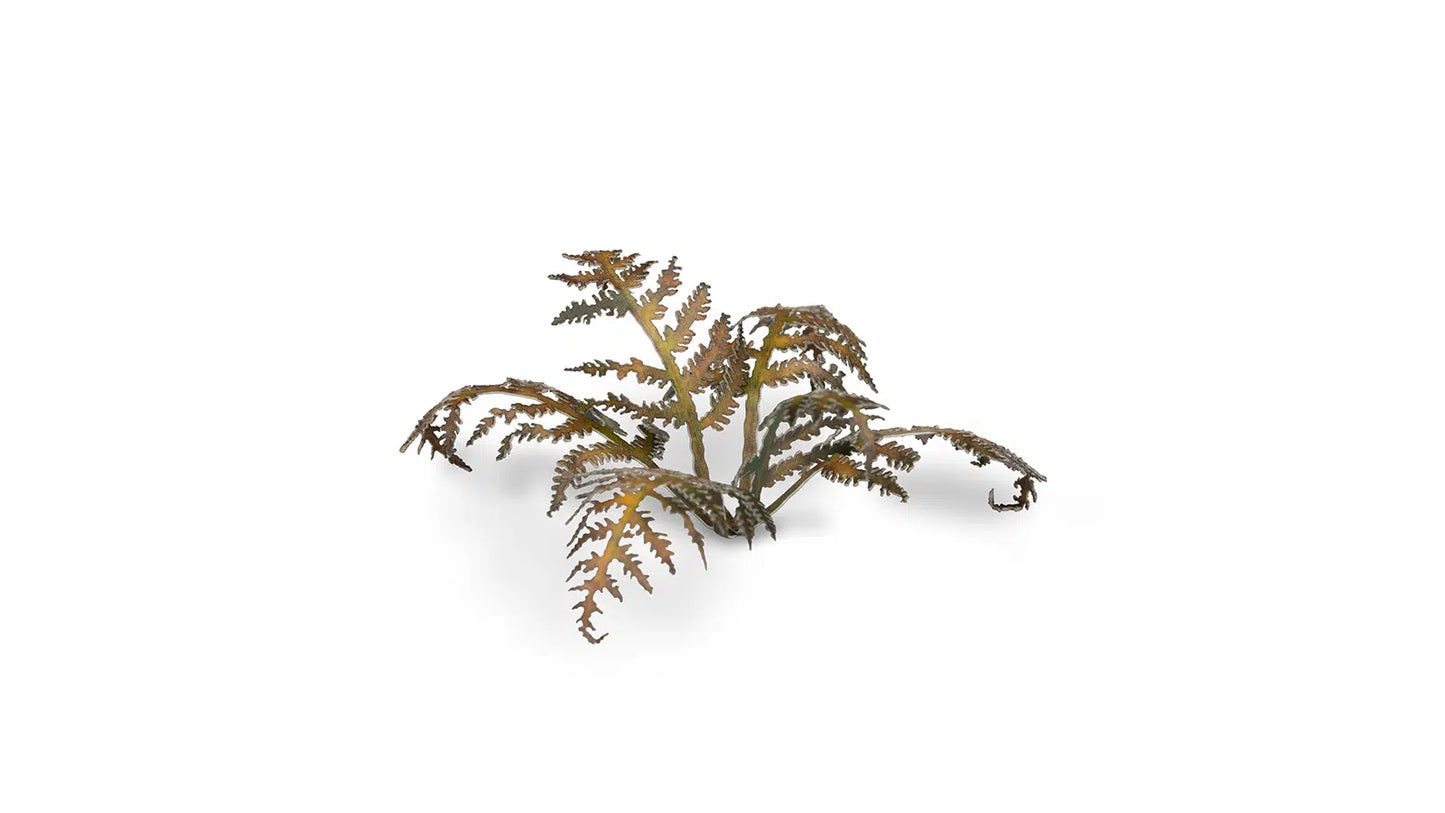 Laser Plants: Dry Bracken