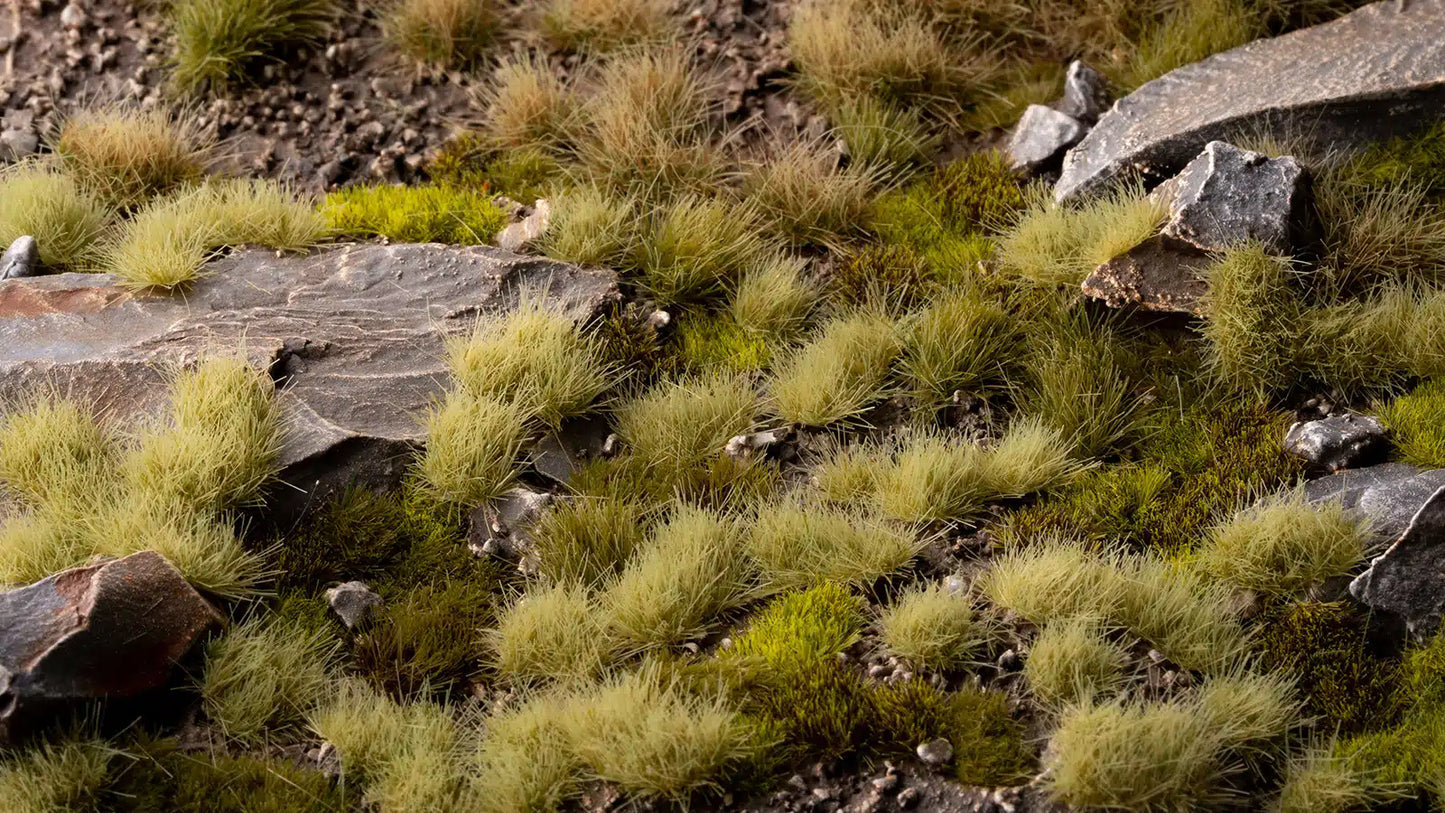 Light Green 4mm - Wild