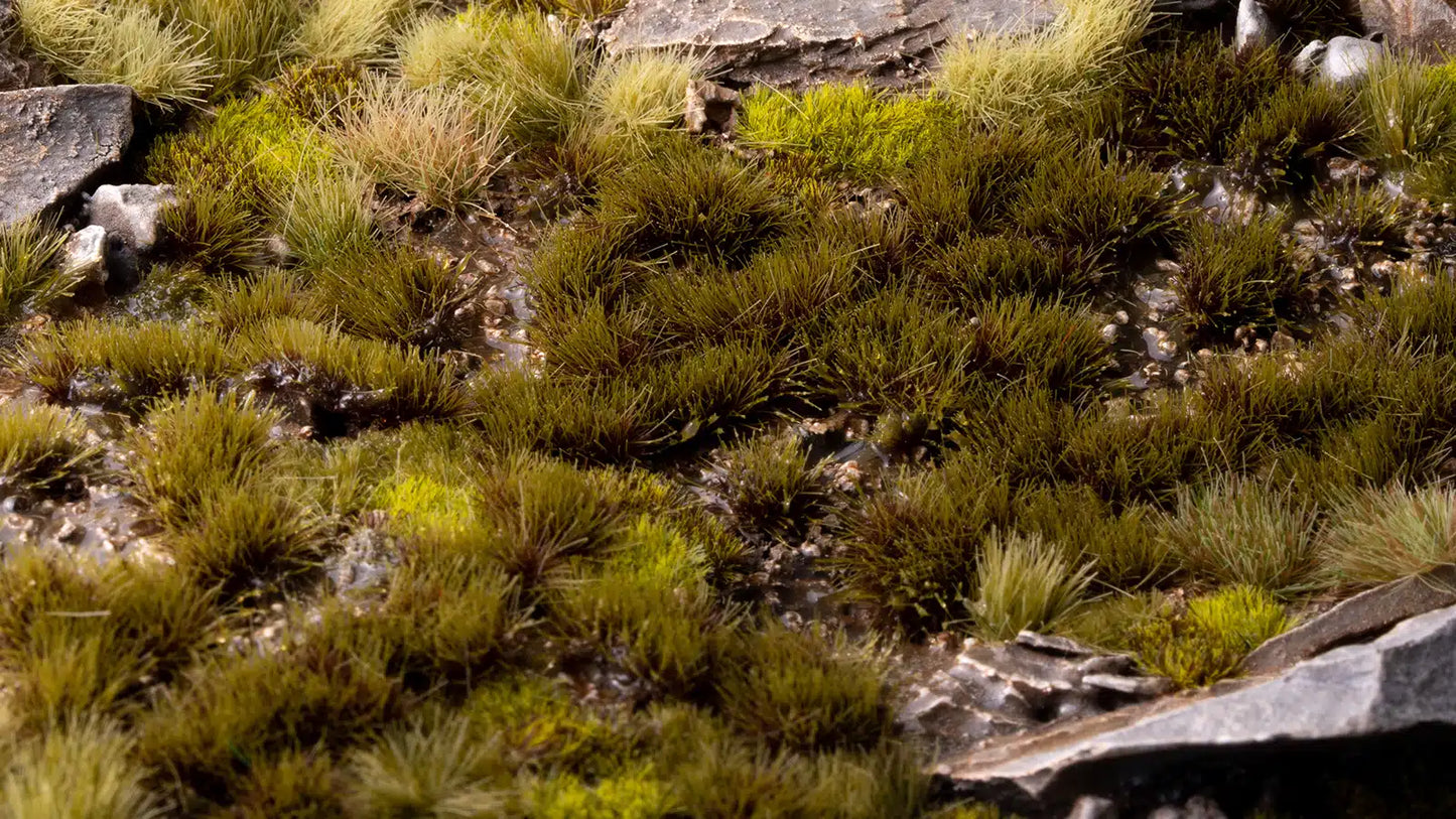 Swamp 4mm - Small